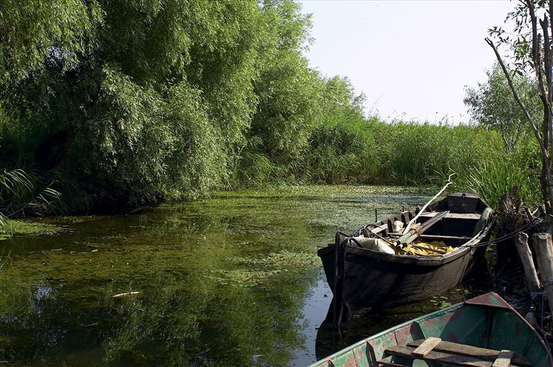 Fishing in the Danube Delta