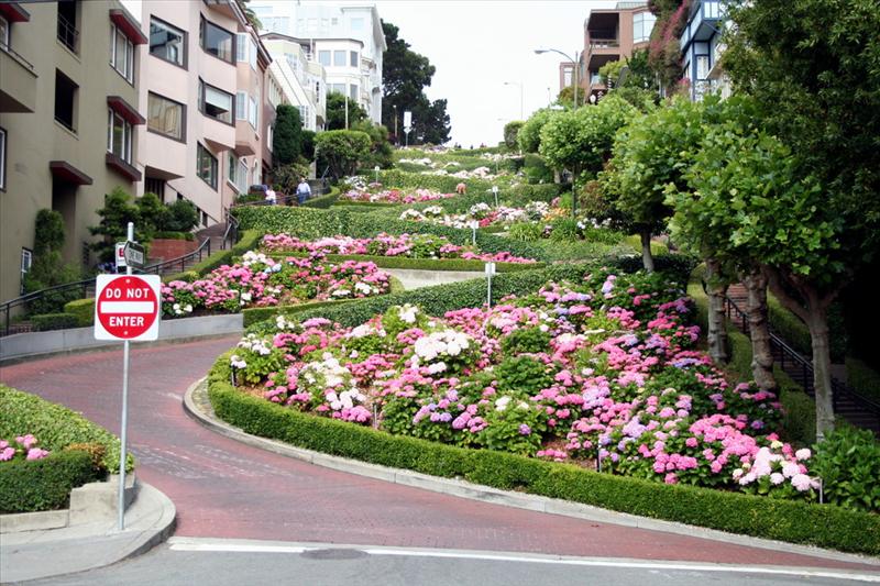 Lombard Street - World's most bendy road?