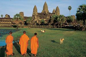 monks walking in the temple grounds