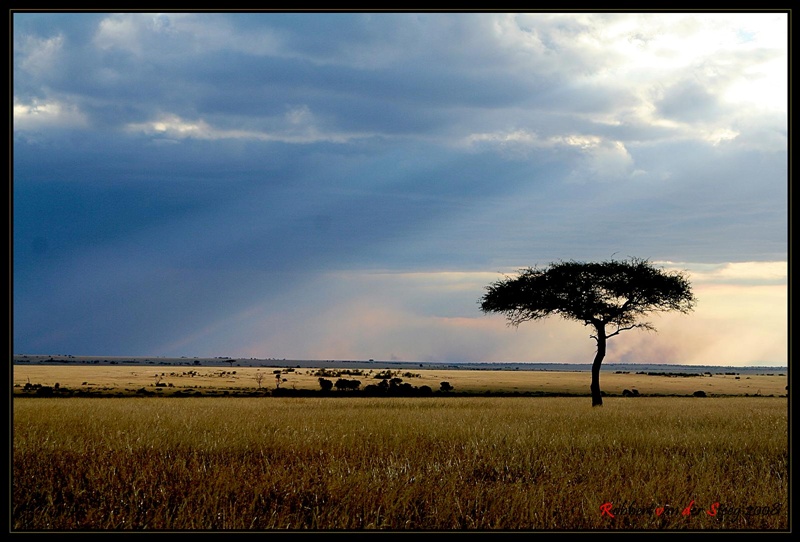 Maasai Mara - Wikipedia