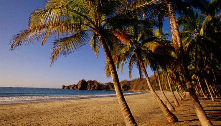 The Cream Of Costa Rica