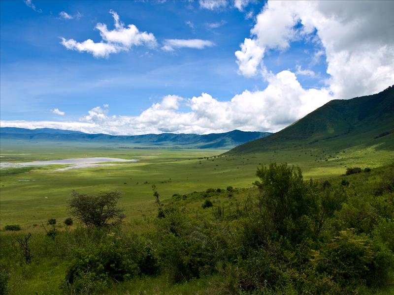 Ngorongoro Crater Wildlife Safari