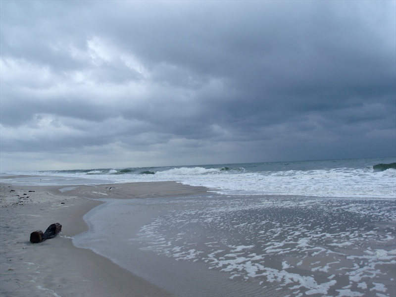 Assateague Island National Seashore