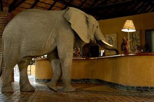 Elephant at lodge reception 