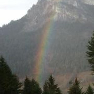 Beth Lovelady-Alfonso